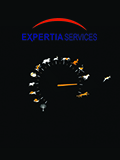 expertia services peritajes